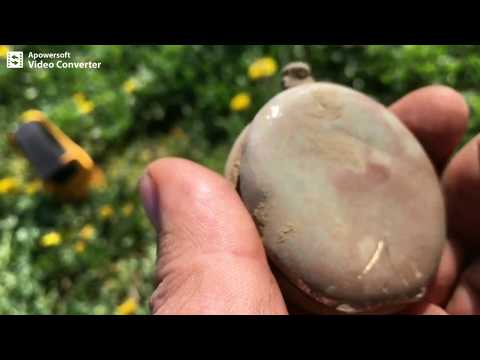 105# ILE TA ŁĄKA JUŻ MI DAŁA/ WIELKOPOLSKIE WYKOPKI