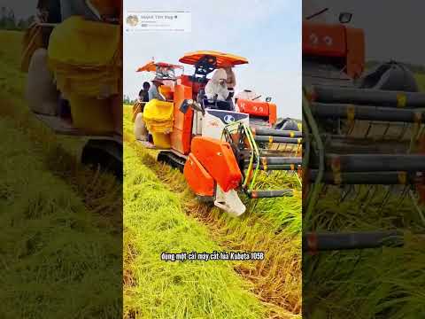 máy cắt lúa kubota 105x siêu càng quét cực khủng #maycatlua #kubota #agriculture