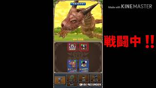 【テリワン生声実況】まよいの扉-黄金郷-入手魔物とは⁉️part25