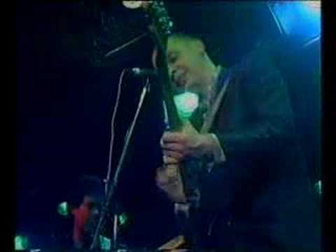 THE SCREAMING BLUE MESSIAHS    WHISTLE TEST 84'  ACE !