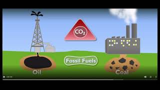 The Carbon Cycle  StudyJams! Science   Scholastic