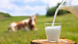 あの名画の人も予想だにしない牛乳の注ぎ方をするゲーム【牛乳を注ぐだけ】