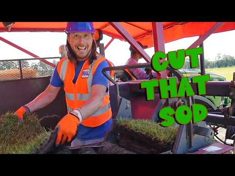 Handyman Hal at the SOD FARM! Driving a Huge Grass Cutter 🚜🌱 - Kingdom Kids Zone, Sing With Me - Handyman Hal - Music for Kids