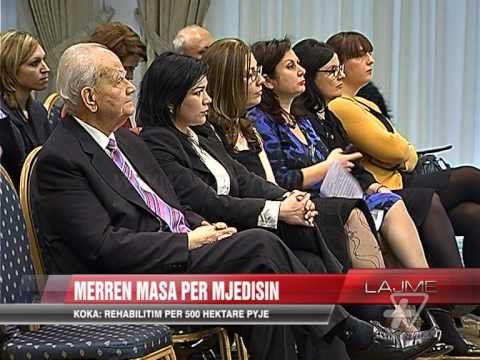 Bllok lajmesh nga vendi, 14 Janar 2014 - News, Lajme - Vizion Plus