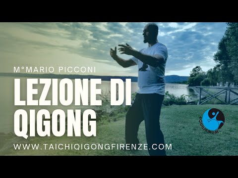 Qigong lezione online 4