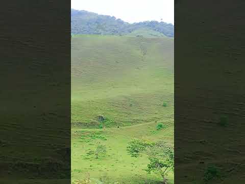 #gusttavolima #onepiece #piracicaba #saopaulo #rotary #viagem @Alemaonaestrada