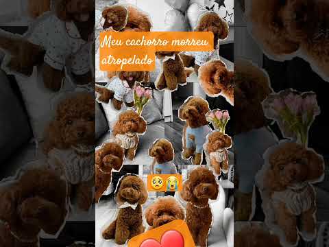 2 de novembro de 2025