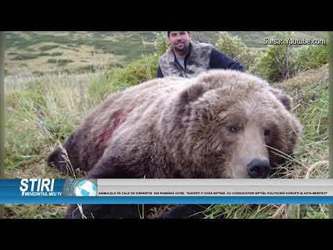 ANIMALELE PE CALE DE DISPARIȚIE  DIN ROMÂNIA UCISE.