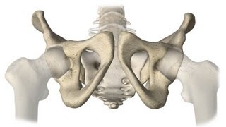 Mechanism of labor (rough cut) for OSCEs
