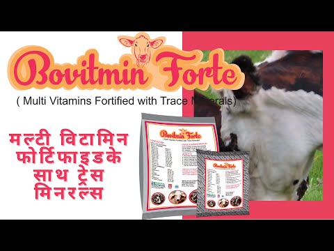 Cows & Buffaloes Mineral Mixture Feed Premix (Bovitmin Forte)