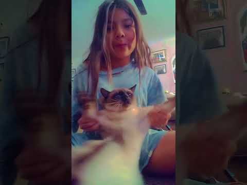 Wait they don't love me like I love you but my cat did it to you guys