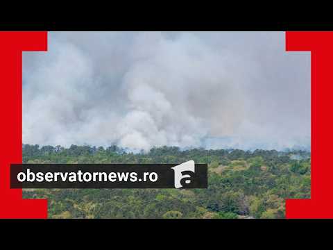 Un sat întreg din Vrancea a luat foc. 300 de oameni au fugit din calea flăcărilor