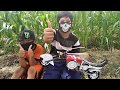 Miniatur Moge Lagi Ngetrip Diladang Jagung