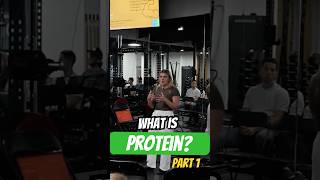 WHAT IS PROTEIN? (and when do we need it in exercise?)