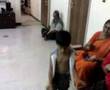 Sooriyano Santhirano