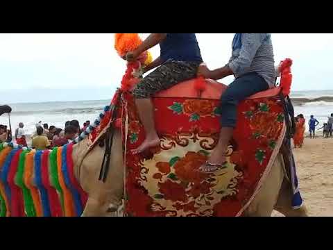 dar sahas puri beach camel ride