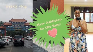 health & fitness, new bag, clothes and skincare, and a new addition to the fam! | Dee's Vlogs
