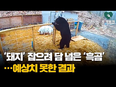 아이콘
