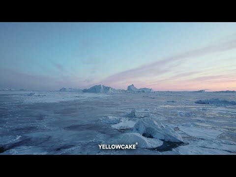 CRICKET x GESKO  -  S'jena Pa