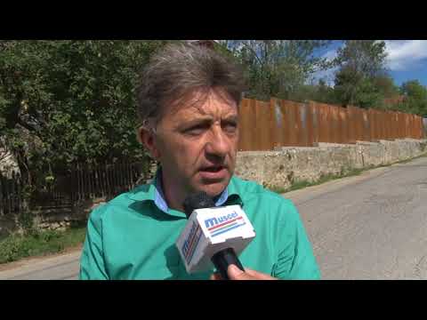 jurnal musceltv 07 09 2017 peste 40 de caini intr o gospodarie din albesti   catalin manta   razvan