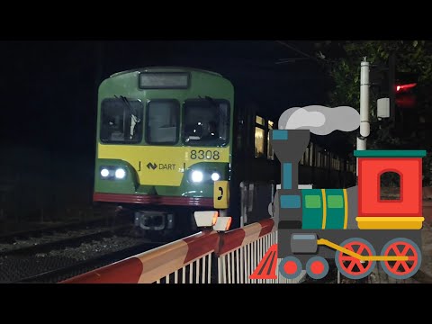 DART Train number 8308 and 8605 - Sydney Parade railroad crossing