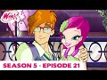 Winx Club - FULL EPISODE | A perfect date | Season 5 Episode 21