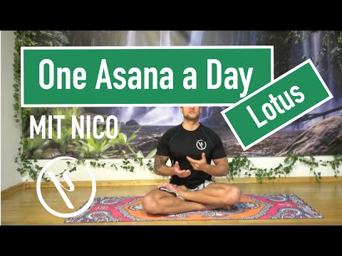 One Asana a day   Lotussitz