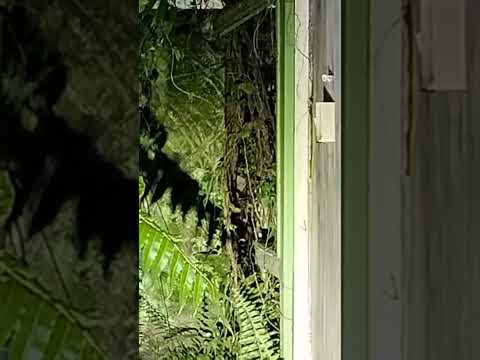 antara penampakkan sekejap semasa paranormal di smk sedaya lama