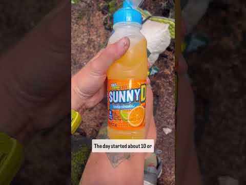 Day 229 of the border to border calendar year triple crown #at #pct #cdt #thruhike