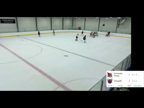 KJT Haukat Orange - Viikingit U14 AA 22.11.2020