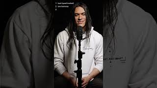 Stacy's Mom Harmony Vocals