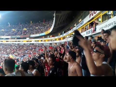 Chivas es la puta que Atlas disfruta / Atlas vs Chivas / Jornada 16