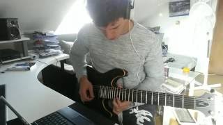 The Lichtenberg Figure - Novelists (Guitar Cover by PAHS)