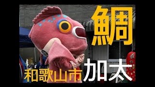 preview picture of video '【 うろうろ和歌山 】【 加太 界隈シリーズ6】 和歌山県 和歌山市　 加太 鯛まつり 加太小学校 加太の鯛 ゆるキャラ'