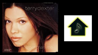 Terry Dexter - Better Than Me (Hex Hector&#39;s Big Room 12&#39;&#39; Mix)