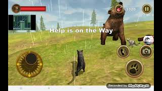Wild Cat Survival Simulator (Playthrough) Gameplay