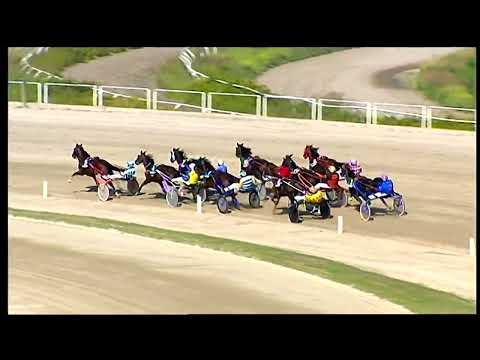 Napoli Trotto 01/10/2022 - 2ª corsa