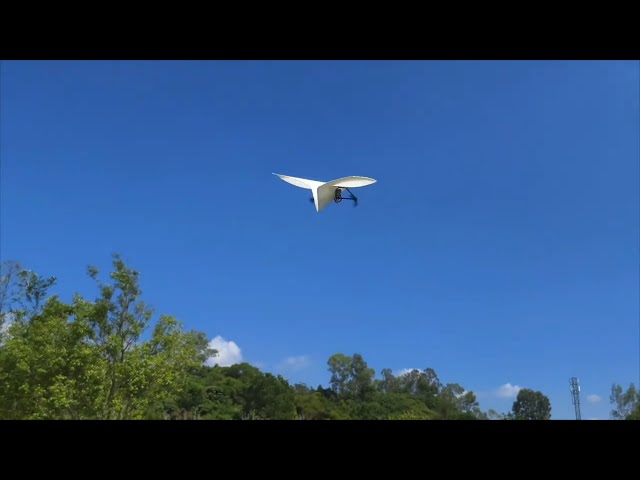 Vídeo relacionado con RC Paper Airplane DIY Kit | DIY Electric Remote Control Plane With Gyro Stabilizer & Duals Propellers, Performance Design, Outdoor Adventure Recreation System Easy Handling Support For Boys Girls