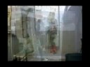 download lagu mp3 mp4 Download Abstract Assassinator The Meadow EP Mp3, download lagu Download Abstract Assassinator The Meadow EP Mp3 gratis, unduh video klip Download Abstract Assassinator The Meadow EP Mp3
