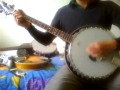 Dropkick Murphys-Prisoners Song (banjo cover ...