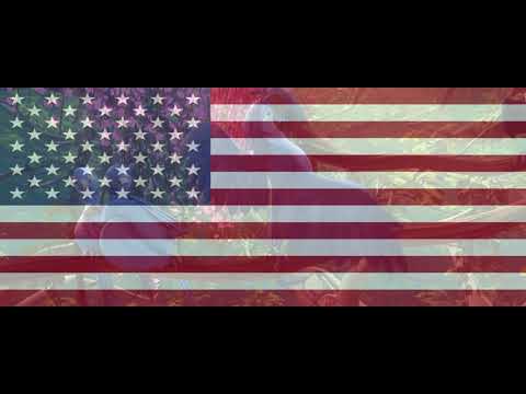 Rio 2 - Welcome Back (English)