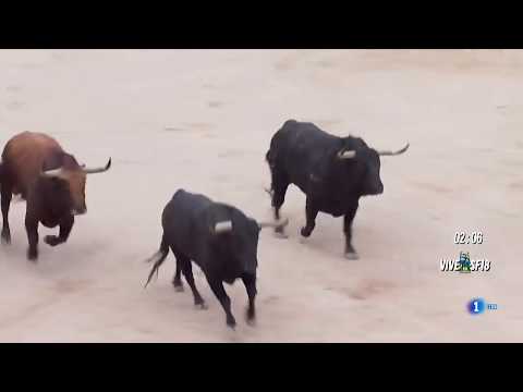 Fri July 13 2018 encierro with Jandilla bulls in Pamplona