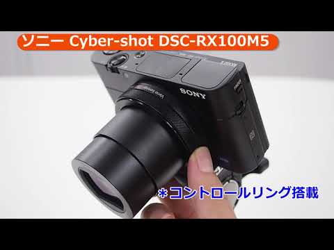 Cyber-shot DSC-RX100 III 中古 61,600円 | ネット最安値の価格比較  