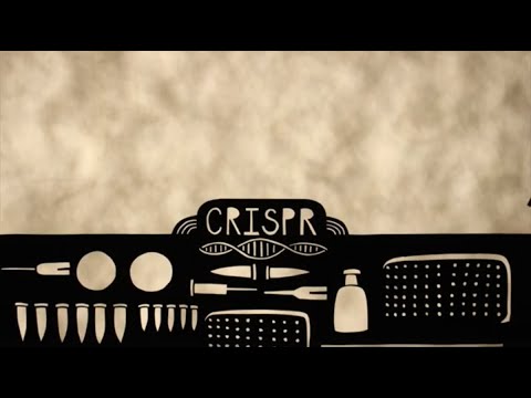 デビッド・ボルティモアについて詳しく解説