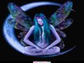 Fairy Ring - Singh Kaur & Gary Stadler 