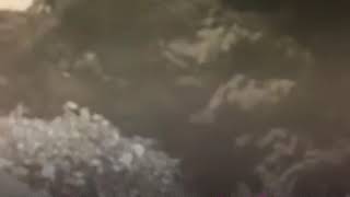 Download lagu NETRU NEE CHINNA PAPPA mp3 Download lagu NETRU NEE CHINNA PAPPA mp3