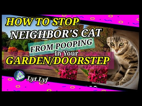 HOW TO STOP YOUR NEIGHBOR'S CAT FROM POOPING YOUR GARDEN OR DOORSTEP|Gawin Sa Pusa Nagdumi Sa Garden