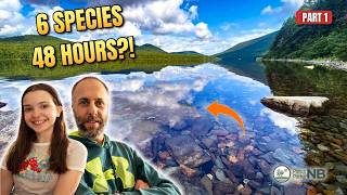 Exploring Mount Carleton: Kayak Fishing, Camping & Family Fun (Part 1)