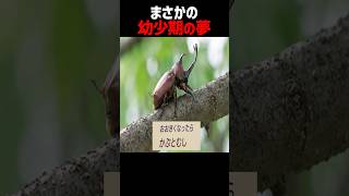 子供の頃の将来の夢が予想外すぎる配信者 #ゲーム実況 #そらびび #但野リス