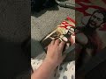 300 Vhs Promo
